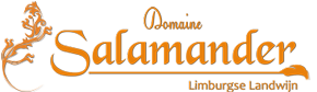 salamander_logo_2